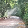 joseandrade7631