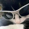 sunil_rajbanshi9810