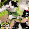 limitsgaming54