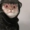 riyana1.3