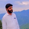 arifqureshiarif83