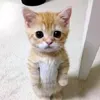 mmnnss.bbvvrr
