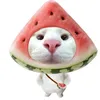 ttct_narin_1007212