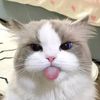 nana_gemoy_06