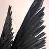 lucis_tiktok