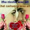 hibo____cumar