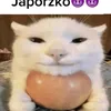 swirek27