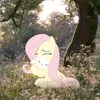 Бебе