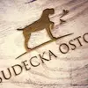 Sudecka Ostoja