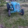 danut_doriftei.11
