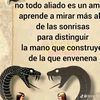 chicabeby15