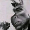 tunebrofiufiu