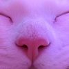 neondreams403