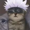 gato_..gojo