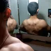 lauti9903
