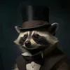 theactualraccoon