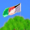 afghanistan.watanmi