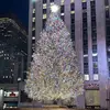 winterday2025