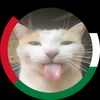 yousef_free_palestine