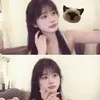 lamaalpaca