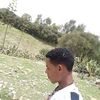 user4453337122978