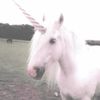 zoethaunicorn