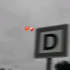 ogahayon2
