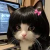 chipxinhiu.00