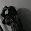 dadiva1116