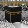 sheelo_2023