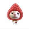 princesturu0