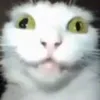 vuto_destroyer