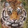 sergei_02074