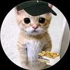thetopice
