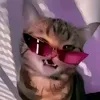 viturzz_0