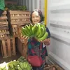 mariaelenaquiapo