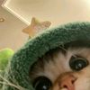 dperrrrrrrr