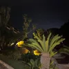 amoshkaaa007