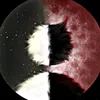 phongdz6047