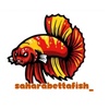 SaharaBettaFish