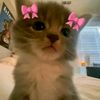 bvrryloves_laaa