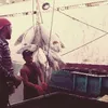 jonnel.perante