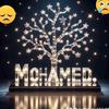 mohamed38432