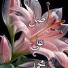 user3358657188431