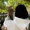dochtare_mazar