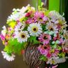 mehar.faisal25