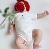 tote_t2004
