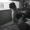_230211.is