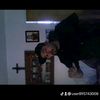 user895743008