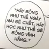 ive.puqw